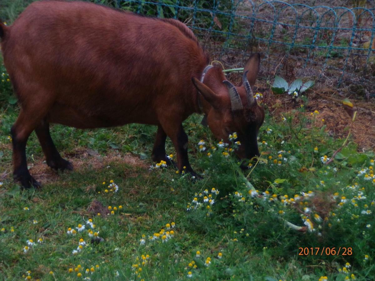 Camping Du Creulet Crouay Buitenkant foto