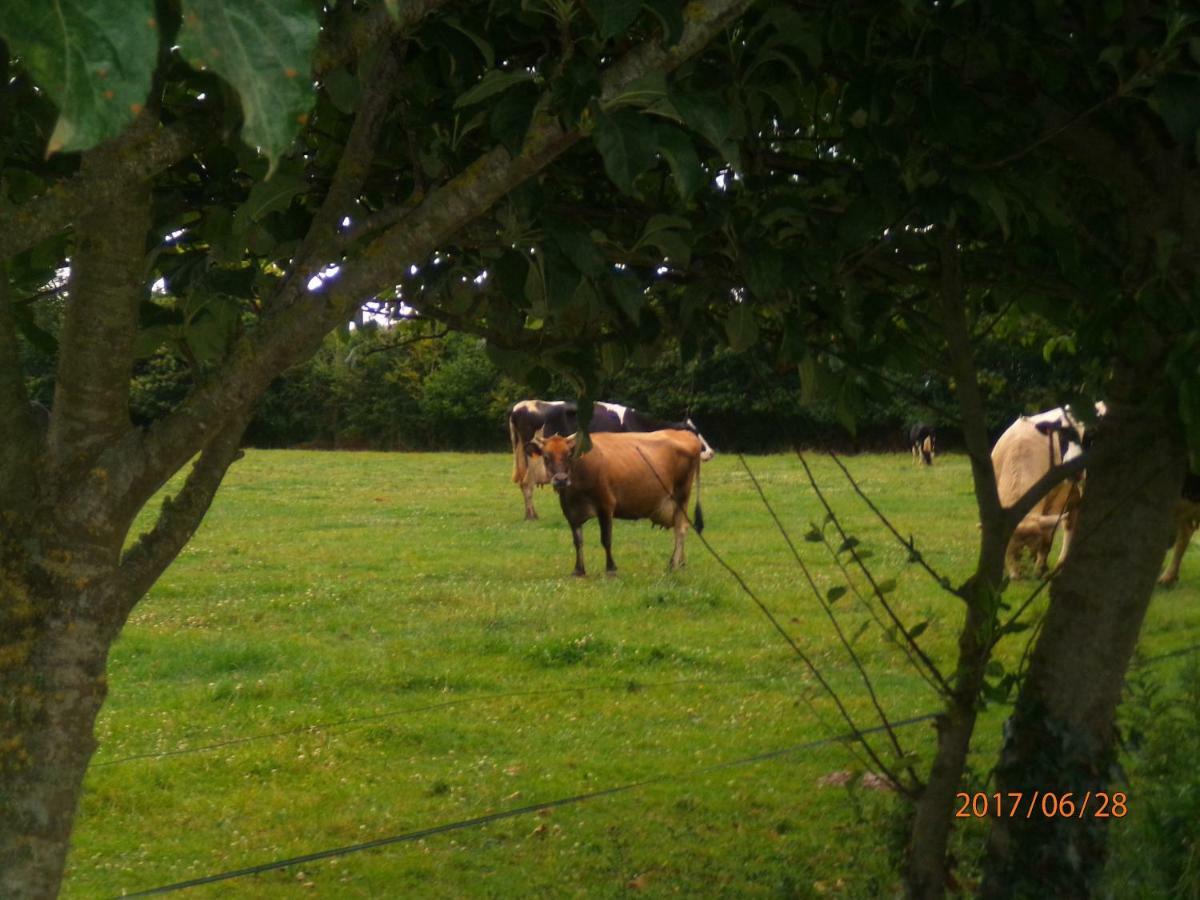 Camping Du Creulet Crouay Buitenkant foto