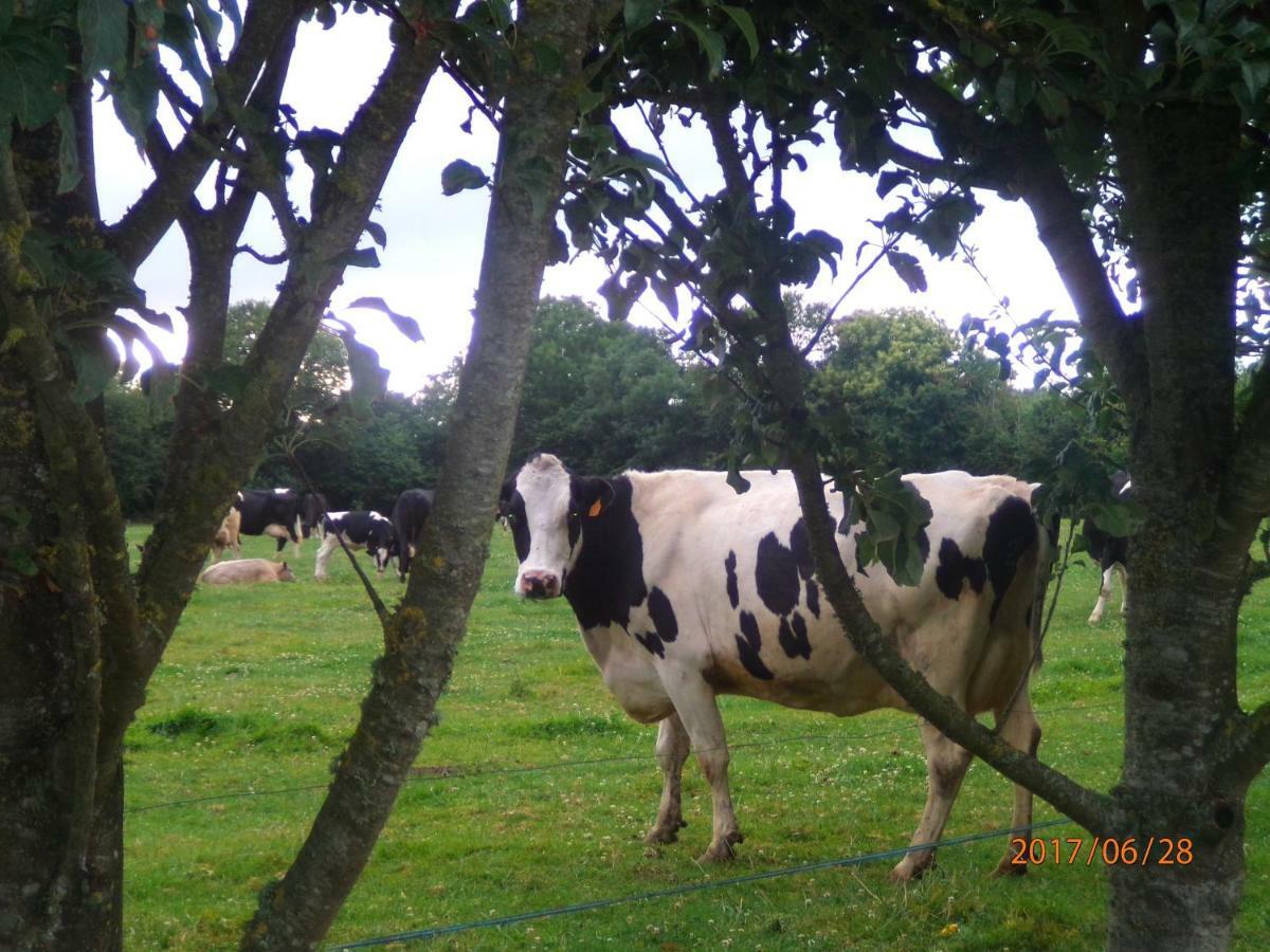 Camping Du Creulet Crouay Buitenkant foto